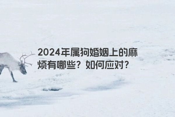 2024年属狗婚姻上的麻烦有哪些？如何应对？