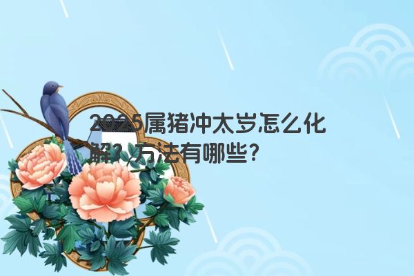 2025属猪冲太岁怎么化解？方法有哪些？