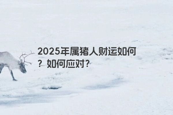 2025年属猪人财运如何？如何应对？