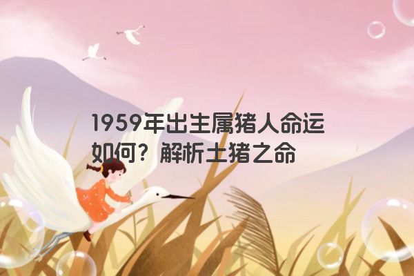 1959年出生属猪人命运如何？解析土猪之命