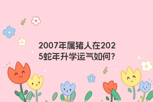 2007年属猪人在2025蛇年升学运气如何？