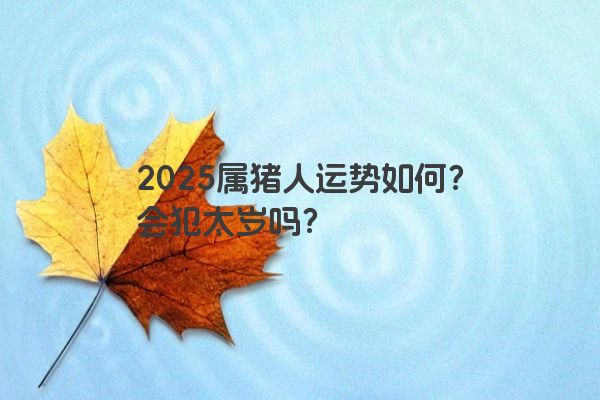 2025属猪人运势如何？会犯太岁吗？