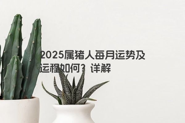2025属猪人每月运势及运程如何？详解