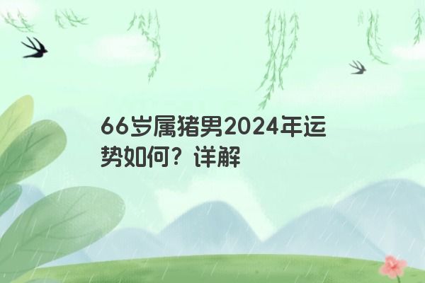 66岁属猪男2024年运势如何？详解