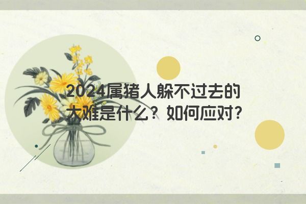 2024属猪人躲不过去的大难是什么？如何应对？