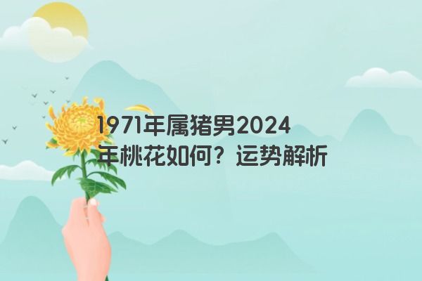 1971年属猪男2024年桃花如何？运势解析