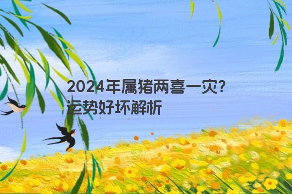 2024年属猪两喜一灾？运势好坏解析