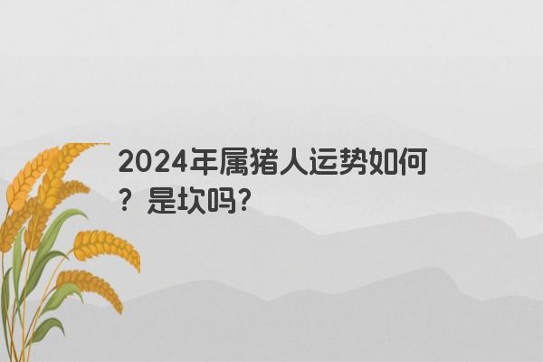 2024年属猪人运势如何？是坎吗？