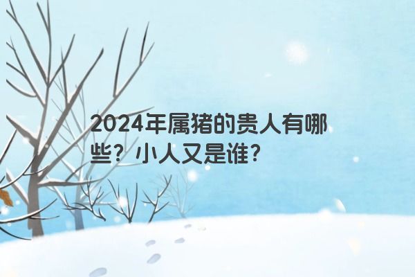 2024年属猪的贵人有哪些？小人又是谁？