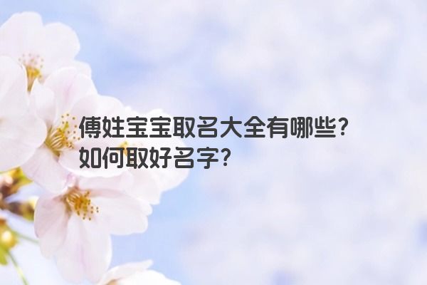 傅姓宝宝取名大全有哪些？如何取好名字？