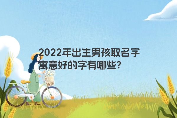 2022年出生男孩取名字寓意好的字有哪些？