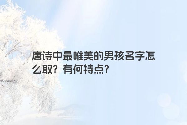 唐诗中最唯美的男孩名字怎么取？有何特点？