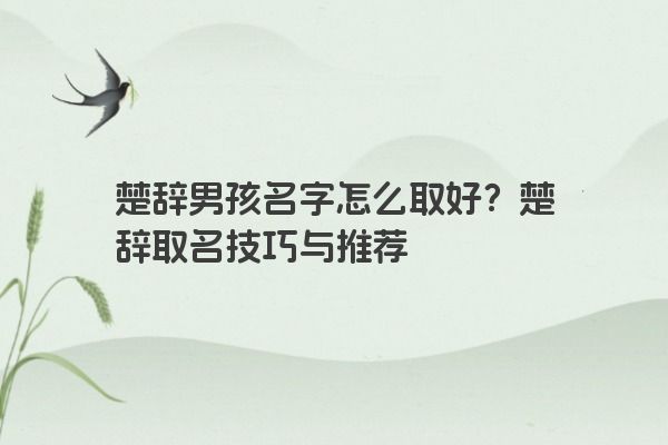 楚辞男孩名字怎么取好？楚辞取名技巧与推荐