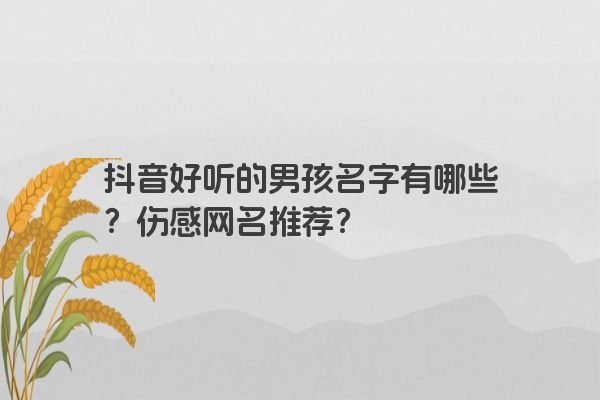 抖音好听的男孩名字有哪些？伤感网名推荐？