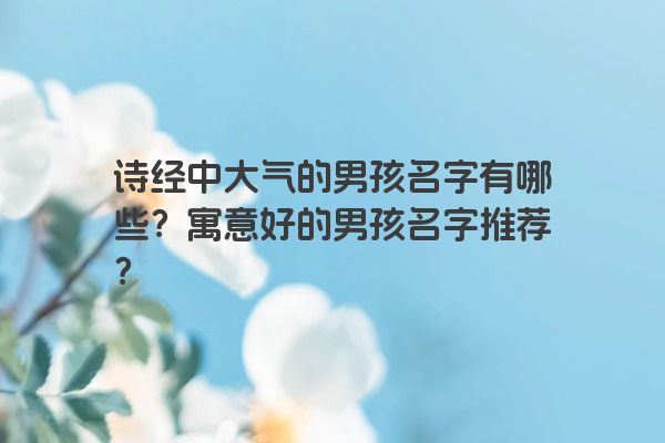 诗经中大气的男孩名字有哪些？寓意好的男孩名字推荐？