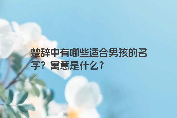 楚辞中有哪些适合男孩的名字？寓意是什么？