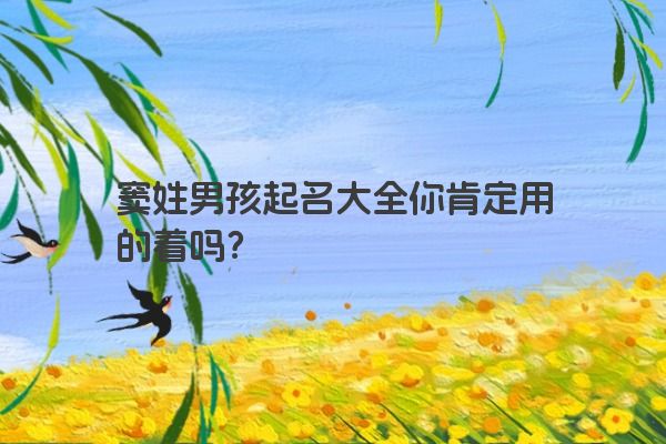 窦姓男孩起名大全你肯定用的着吗？