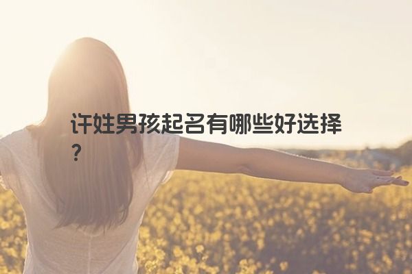 许姓男孩起名有哪些好选择？