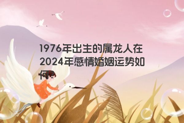 1976年出生的属龙人在2024年感情婚姻运势如何？
