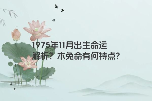 1975年11月出生命运解析？木兔命有何特点？