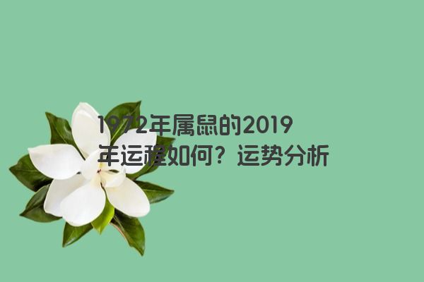 1972年属鼠的2019年运程如何？运势分析