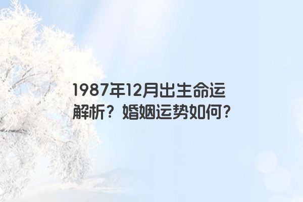 1987年12月出生命运解析？婚姻运势如何？