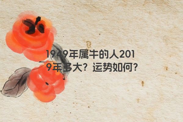 1949年属牛的人2019年多大？运势如何？