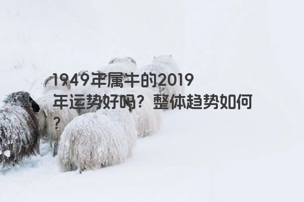 1949年属牛的2019年运势好吗？整体趋势如何？