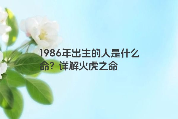 1986年出生的人是什么命？详解火虎之命