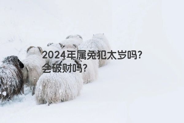 2024年属兔犯太岁吗？会破财吗？