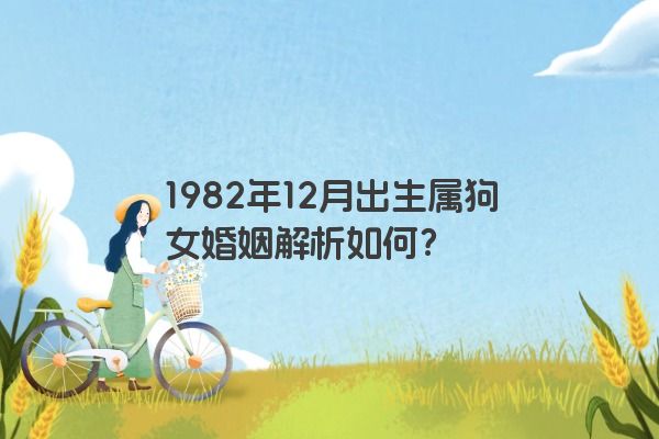 1982年12月出生属狗女婚姻解析如何？