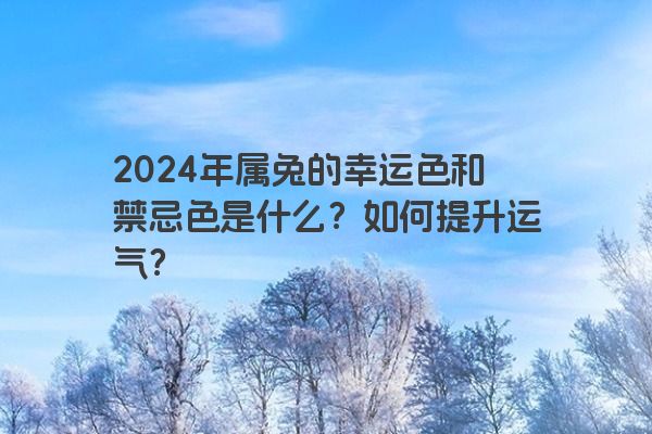 2024年属兔的幸运色和禁忌色是什么？如何提升运气？