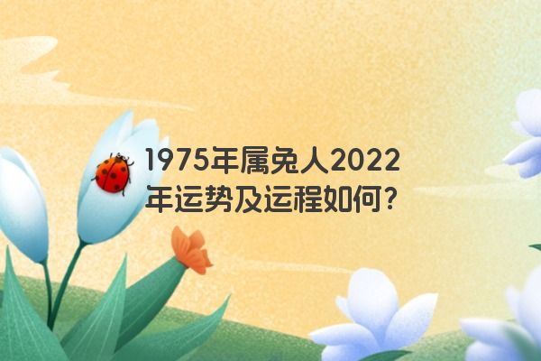 1975年属兔人2022年运势及运程如何？