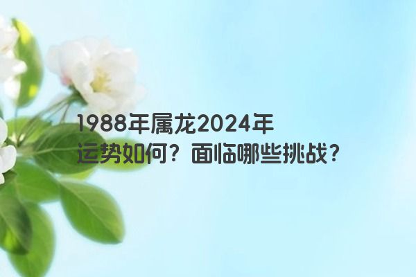 1988年属龙2024年运势如何？面临哪些挑战？