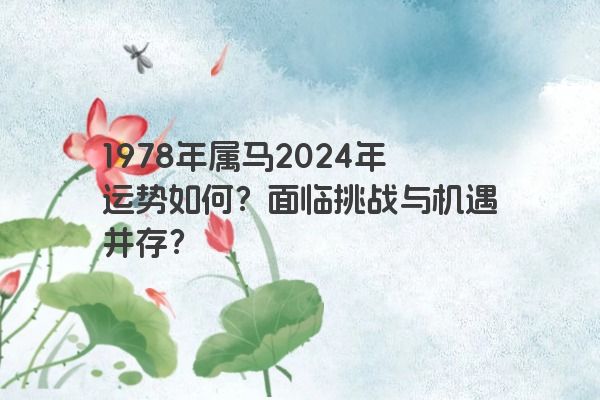 1978年属马2024年运势如何？面临挑战与机遇并存？