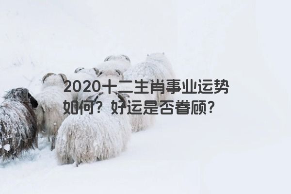 2020十二生肖事业运势如何？好运是否眷顾？
