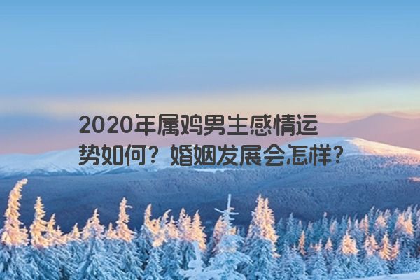 2020年属鸡男生感情运势如何？婚姻发展会怎样？