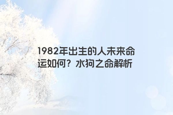 1982年出生的人未来命运如何？水狗之命解析