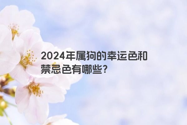 2024年属狗的幸运色和禁忌色有哪些？