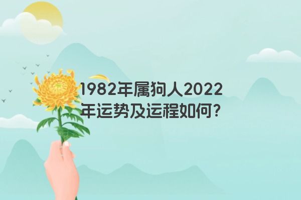 1982年属狗人2022年运势及运程如何？