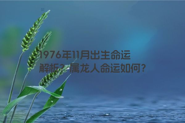 1976年11月出生命运解析？属龙人命运如何？