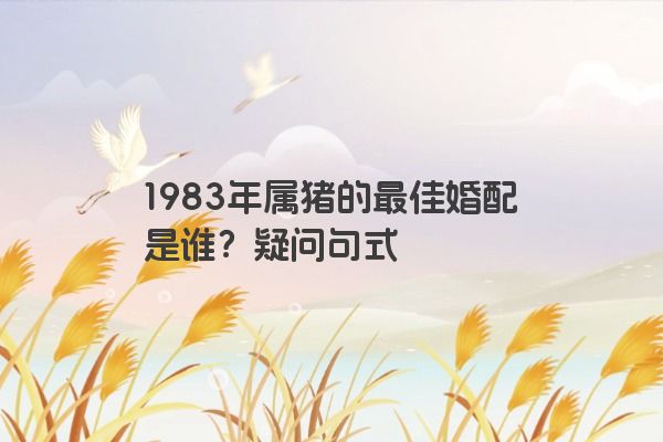 1983年属猪的最佳婚配是谁？疑问句式