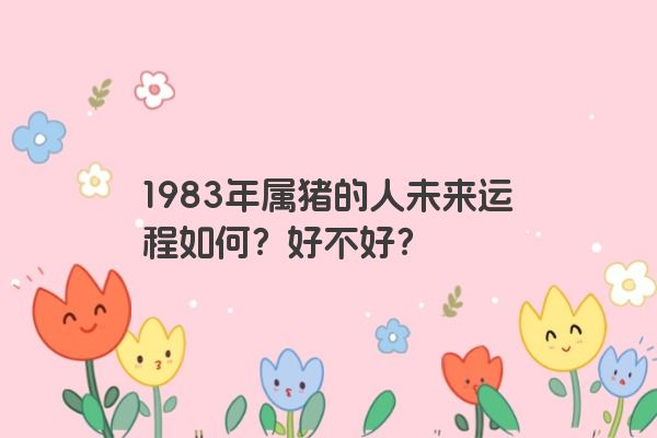 1983年属猪的人未来运程如何？好不好？