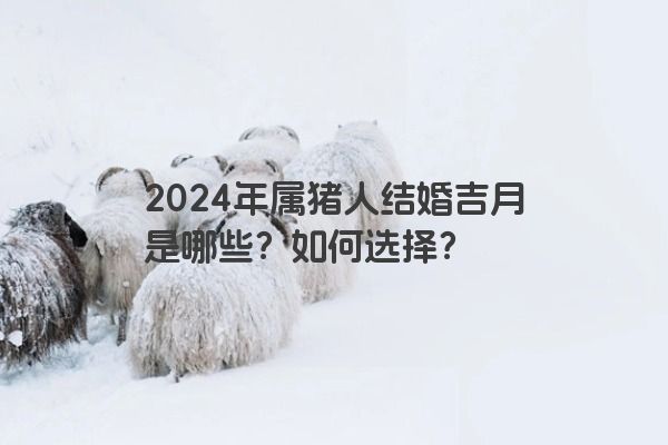 2024年属猪人结婚吉月是哪些？如何选择？