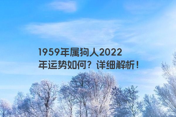 1959年属狗人2022年运势如何？详细解析！