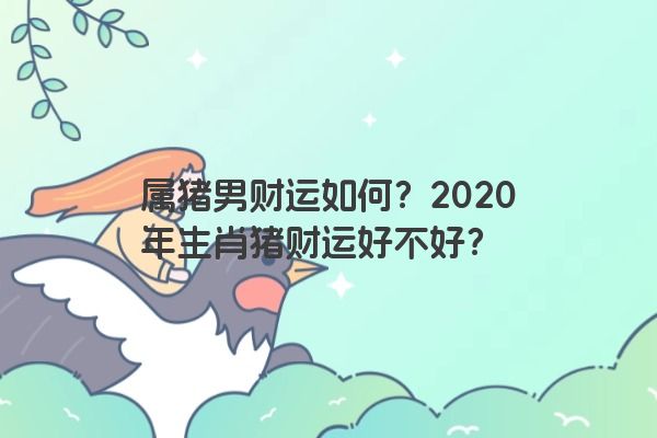 属猪男财运如何？2020年生肖猪财运好不好？