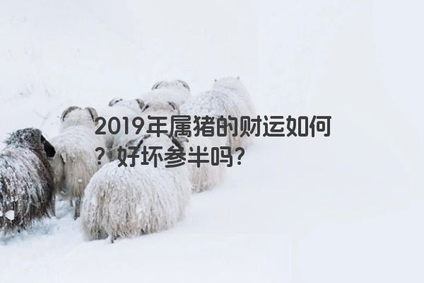 2019年属猪的财运如何？好坏参半吗？