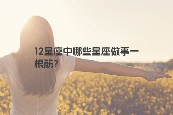 12星座中哪些星座做事一根筋？