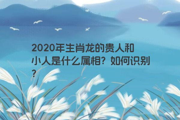 2020年生肖龙的贵人和小人是什么属相？如何识别？