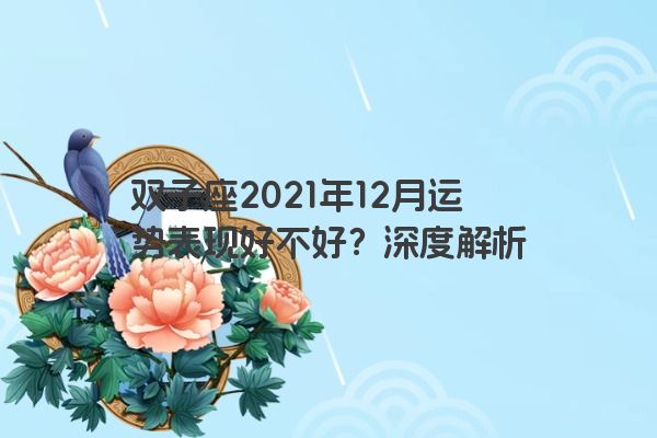 双子座2021年12月运势表现好不好？深度解析